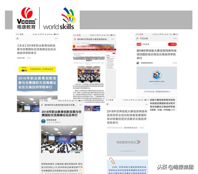 屆國際培訓班暨競技交流賽舉行，10國專家齊聚云南